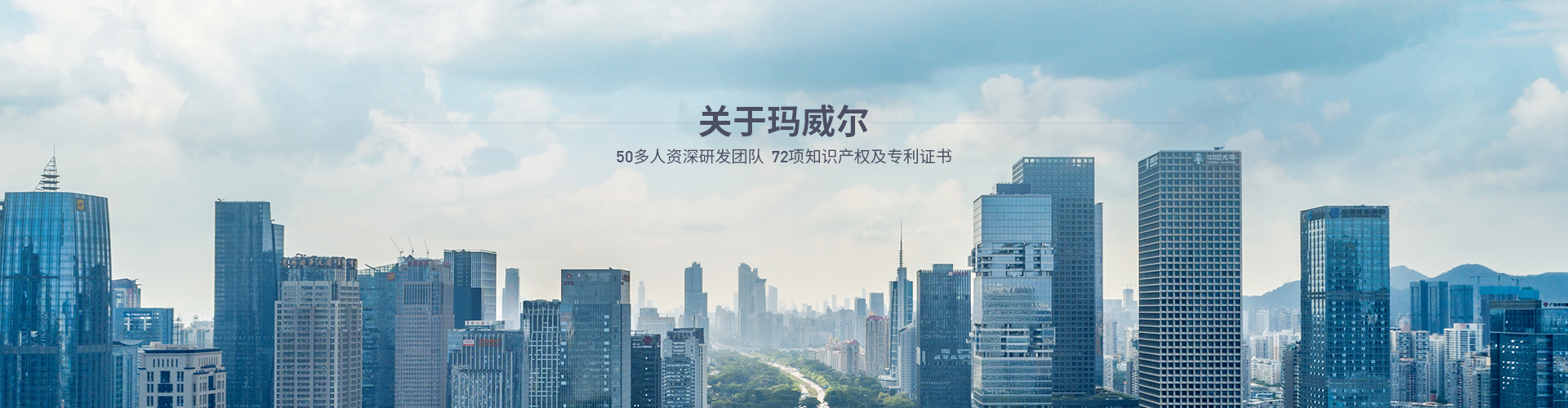 公司介紹